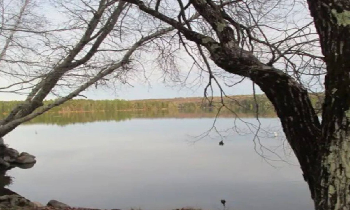 Belgrade Cabin | Belgrade Lakes Salmon Waterfront cottage