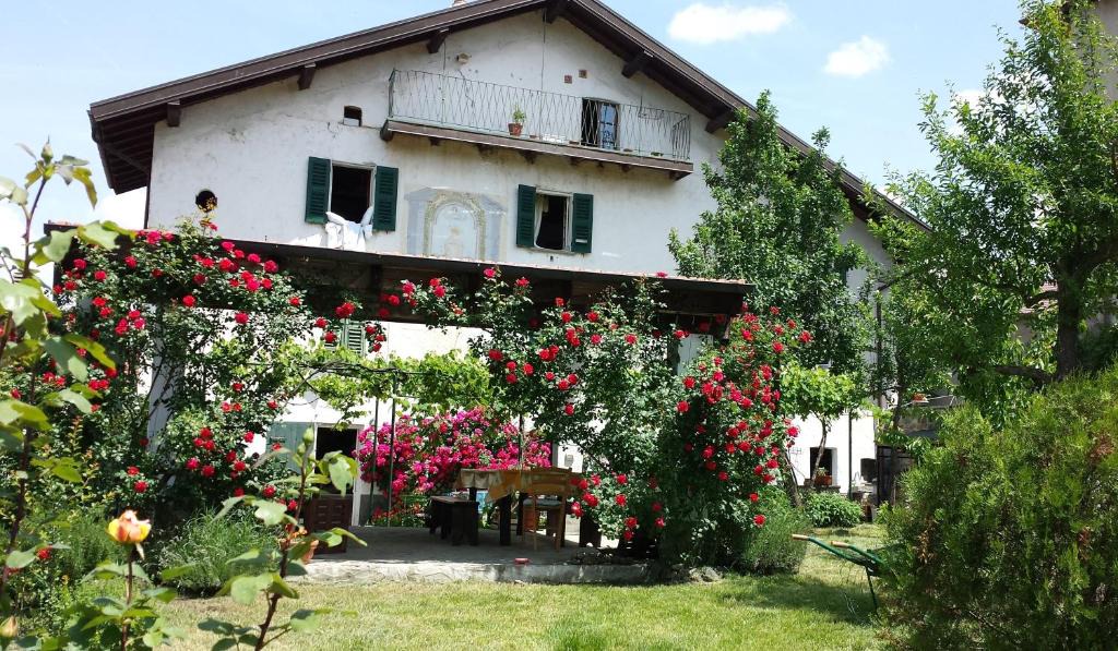 Mioglia Apartment | Casa di Alfredo Apartment - CITR9039