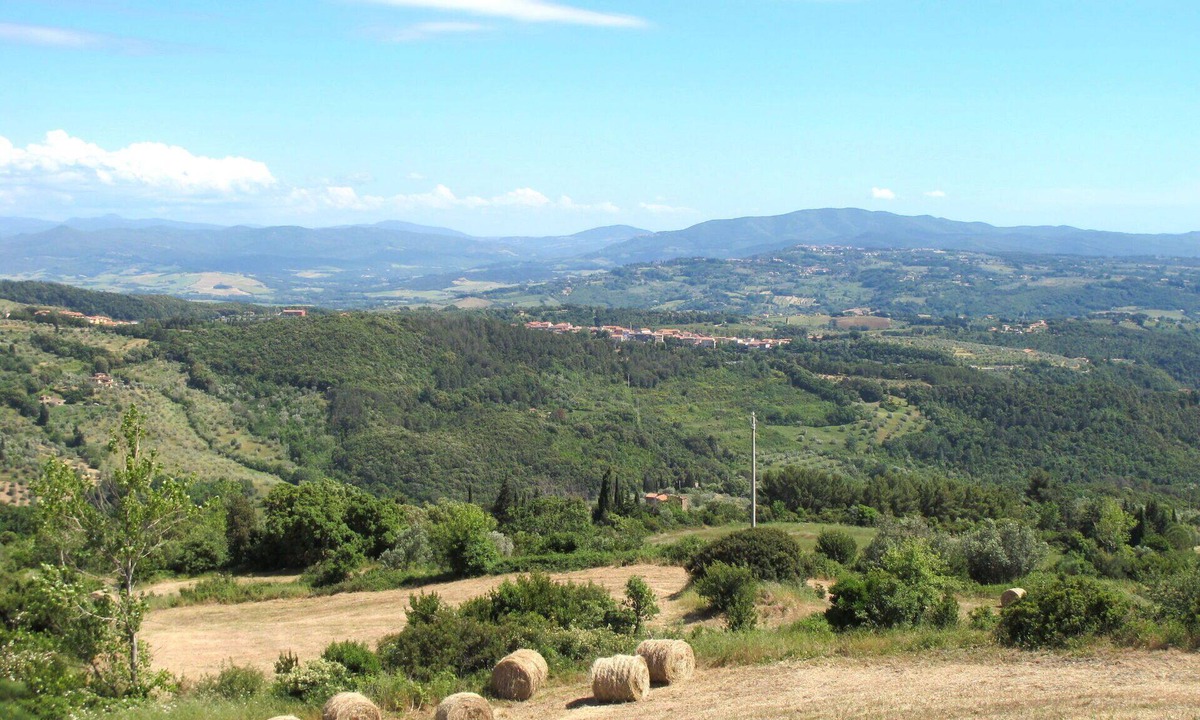 Riparbella Apartment | Cosy apartment for 6 people with pool, WIFI, A/C, TV and terrace
