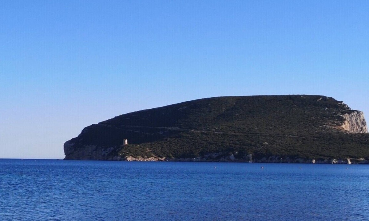 Capo Caccia Villa | Garden Villa in Pischina Salida - Capo Caccia - Alghero