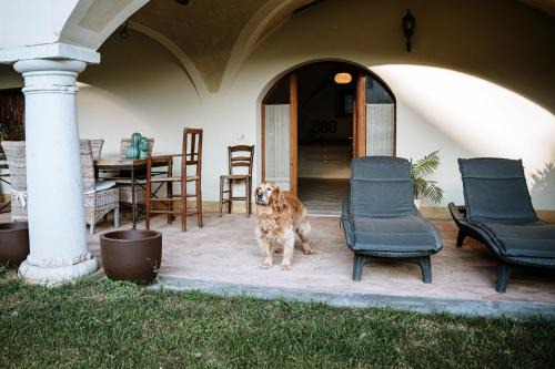 Roe Apartment | La Dimora