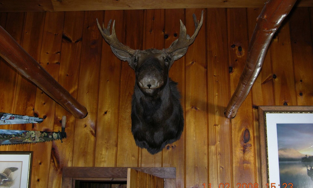 Washington County Cabin | Lakeside Log Cabin: Breathtaking Natural Beauty Pocomoonshine Lake Bass fishing