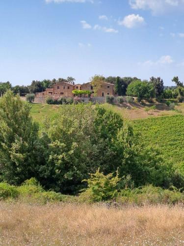 Trequanda Bed & Breakfast | Podere Sole