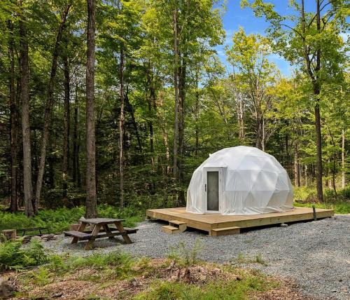 Lincoln House | Scenic Mountain View Dome Retreat with Cozy Wood Stove in Lincoln, Maine