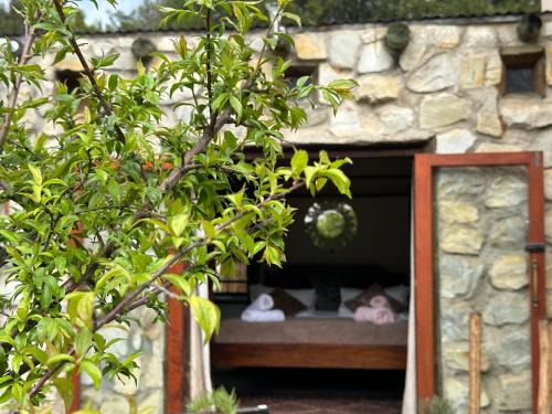 Storms River Apartment | Stormsriver Backpackers Dijembe