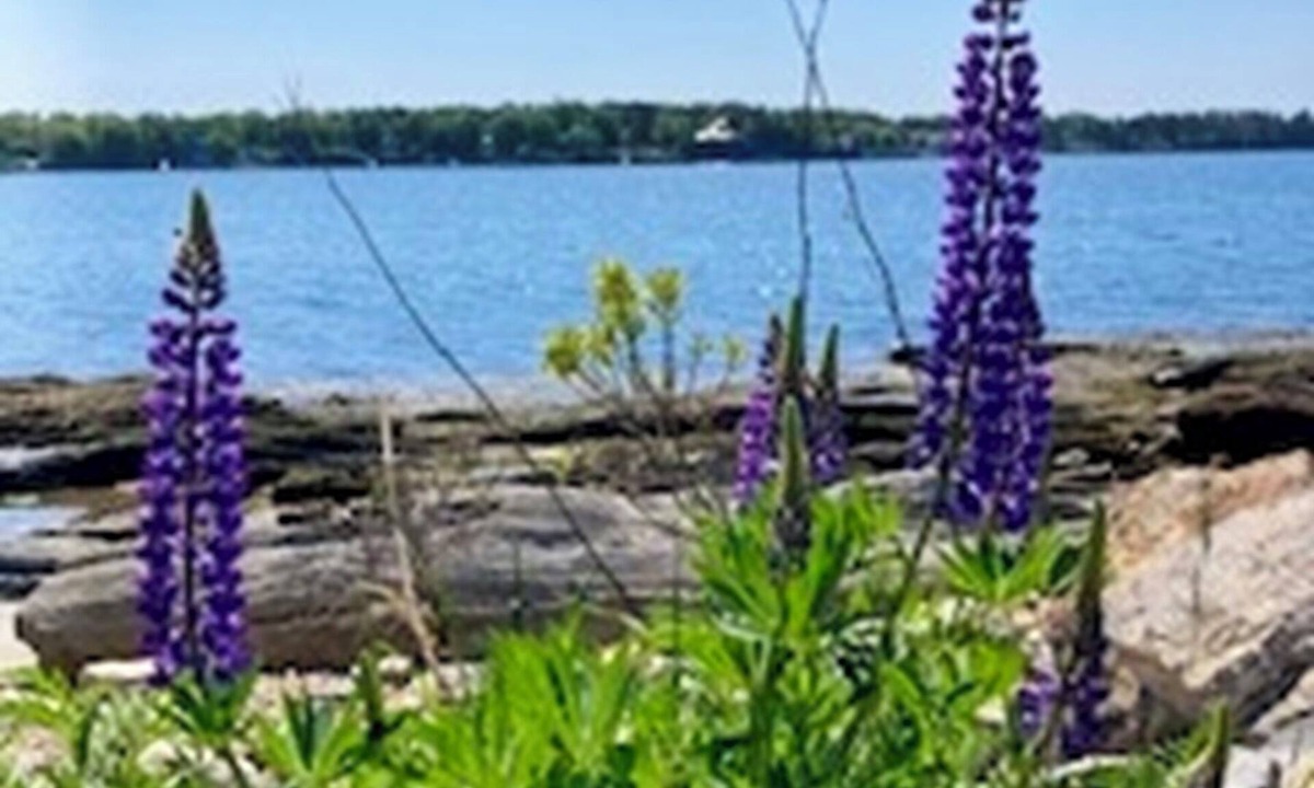 Orrs Island House | Welcome to your relaxing, coastal getaway ! Oceanfront home nestled on the picturesque Orrs Island