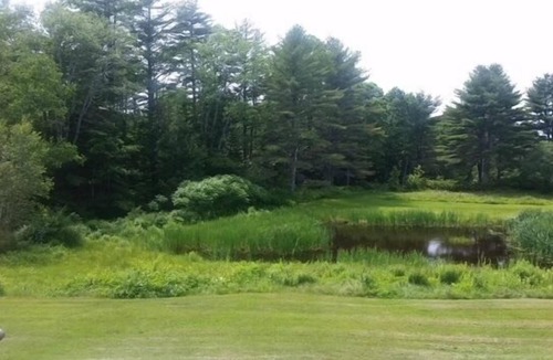 Walpole House | 5 BR, 2 BA Spacious Farmhouse Walking Distance to Golf Course