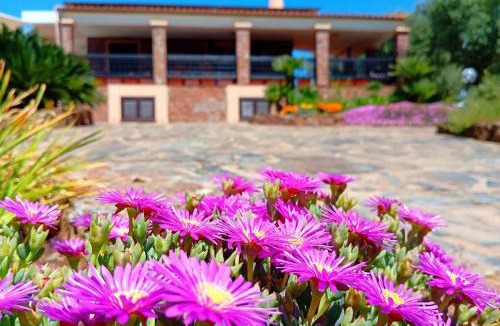 Alghero Villa | Alghero Villa Barranch with sea view swimming pool for 6 people