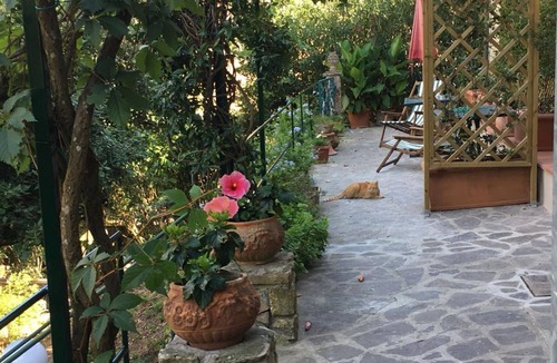 Rio nell'Elba Apartment | Casa di Charme 2 Rio nell'Elba, few minutes from the beach!