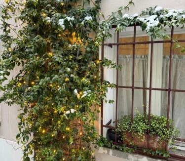 San Giuliano a Mare Apartment | Casa Gastone