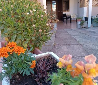 Palmadula House | Da Francesca