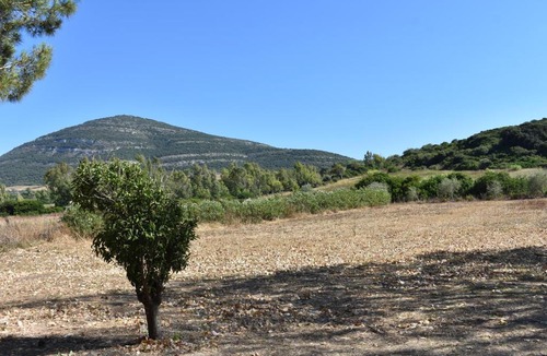 Alghero Apartment | Guardia Grande 26