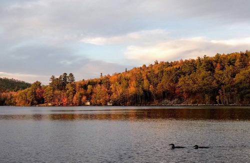 Hanover Cabin | Howard Pond - Family-Friendly And Pet-Friendly Quiet Home