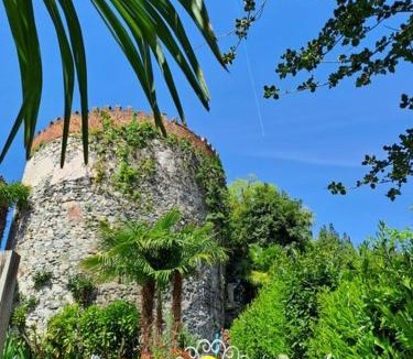 Arona Bed & Breakfast | Il Giardino di Sofia