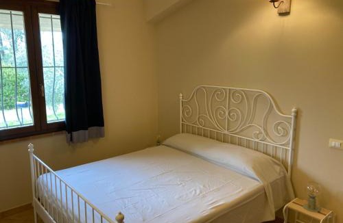 Montescudaio House | Le Giuncaie - Vigna con alloggio