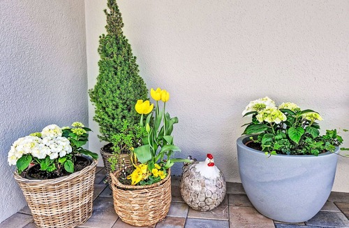 Prutz Apartment | Lovely apartment for 4 guests with WIFI and TV
