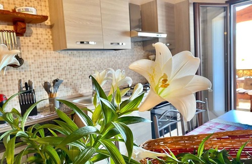 Schifoni Apartment | Newly built villas located in a quiet hamlet of San Teodoro.