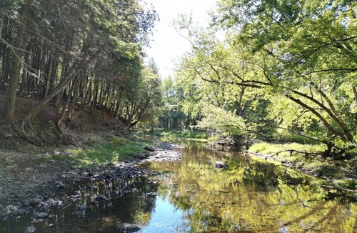 Lincoln Cabin | Quaint 1 Bedroom + Loft/1 Bath streamside Timber Frame cabin near Lincoln, ME.