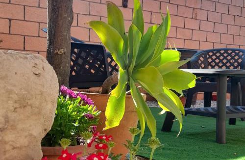 Cabras Bed & Breakfast | Su Fassoi Cabras