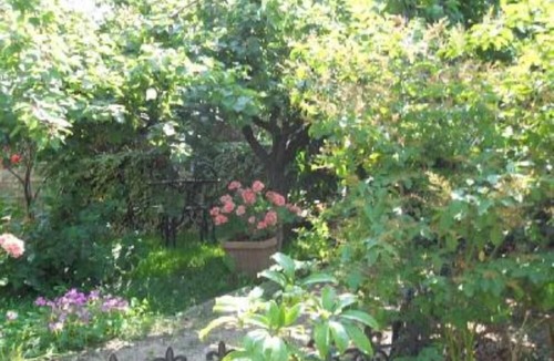 Girasole House | Villa/house with garden - Girasole - 6 places - Eastern coast of Sardinia