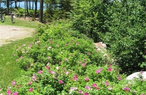 Waldoboro House | Wonderful Cape with Stunning Waterviews and Sunsets
