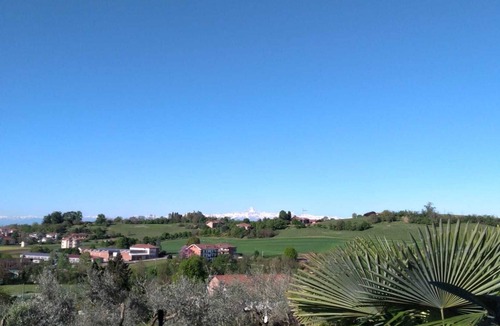 Chieri Apartment | Wonderful vacation apartment in an olive grove.