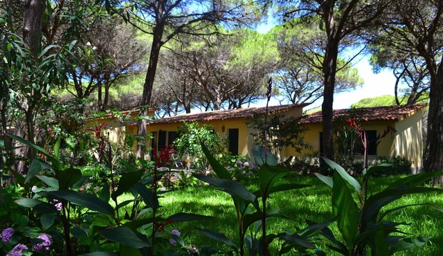 1 Ala Birdi Cottage Trilocale, Arborea, Italy