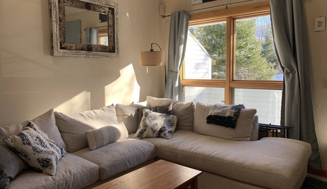 2BR Ski in/ski out Snowbrook condo.