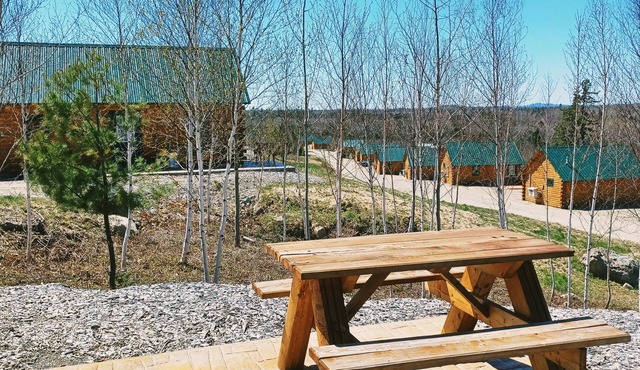#9 - Flagpole View Cabins - Deluxe Cabin