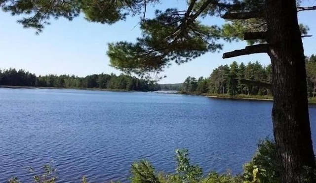 900 sq/ft off-grid cabin nestled on Upper Cranberry Lake. Pet Friendly!