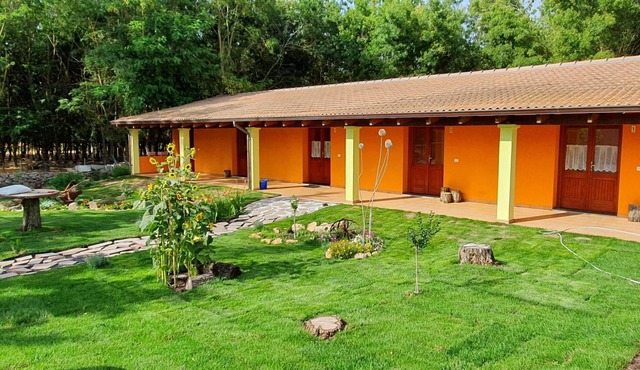 A stay full of nature