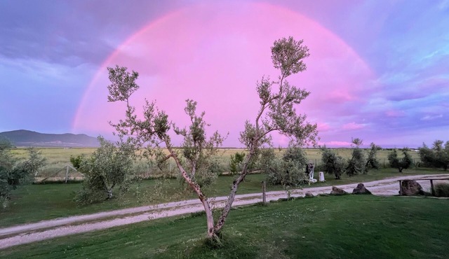 Acqua Calda Vulcanica Solis Ortus CasaDaniele