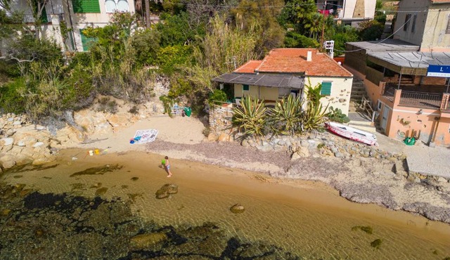 Agave direclty on the beach - Goelba