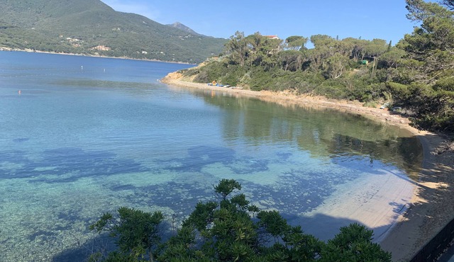 Beachfront villa with direct access – Procchio