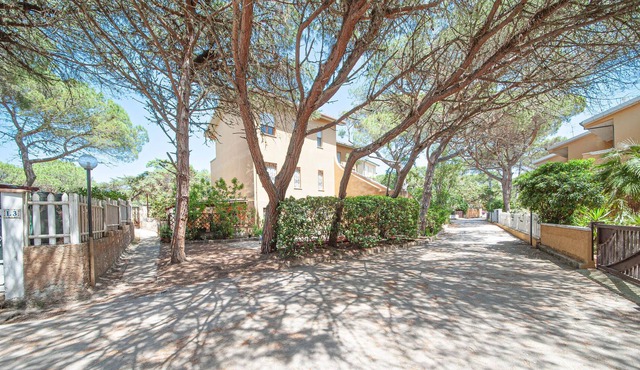 Bright apartment with shared outdoor pool, just a few steps from the sandy beach.