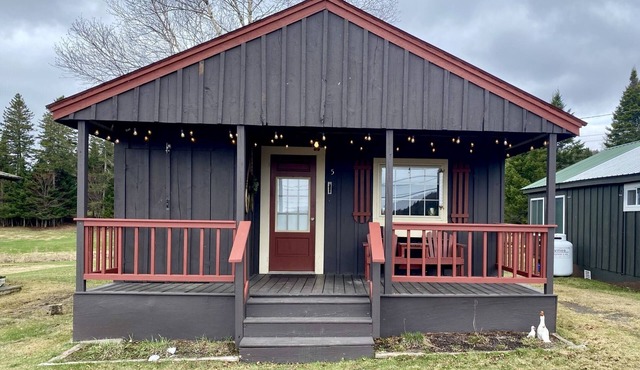 Cabin with Snowmobile and ATV Trail Access