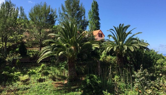 Casa d'Olívia