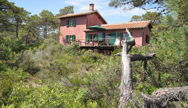 Casamare - Holiday Villa Rental by the Sea in Castiglione della Pescaia, Tuscany