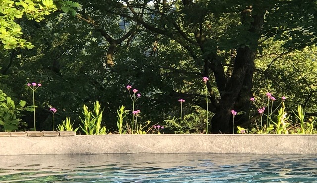 Charme, nature and design in Turin