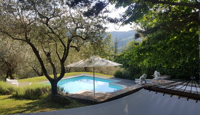 Charming vacation home with pool, sun deck and olive grove