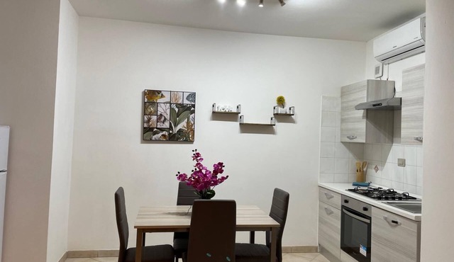 Civic2 Large studio apartment in the center