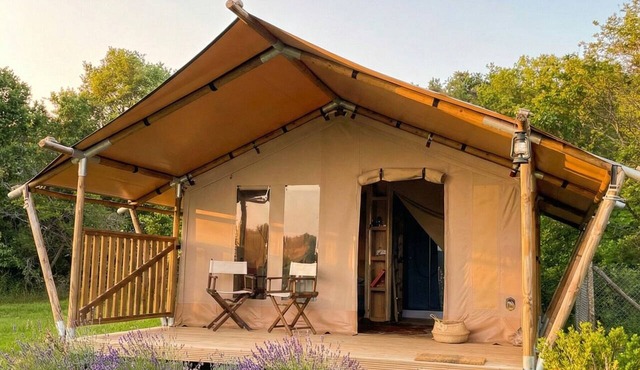 Comet Lodge - Luxury Suite