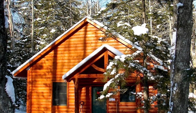 Cozy and pristine timberframe cabin