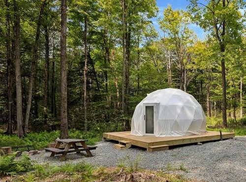 Cozy Mountain Dome Escape Near Beautiful Lakes and Nature in Lincoln, Maine