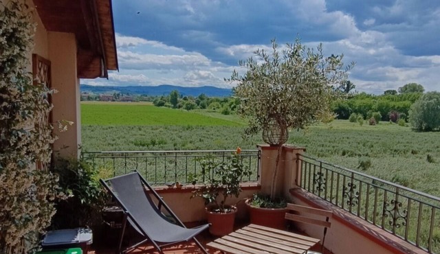Cozy one-bedroom apartment between town and hills.