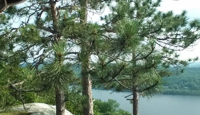 Crystal Lake Cabin