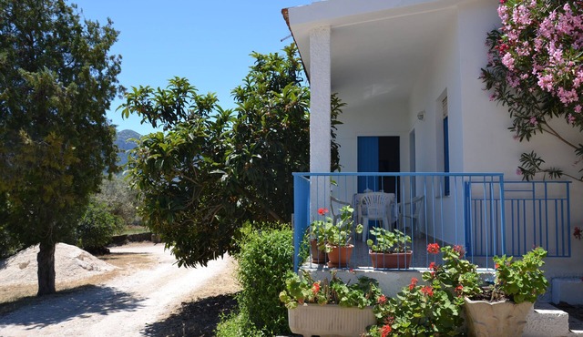 detached house, surrounded by greenery overlooking the sea