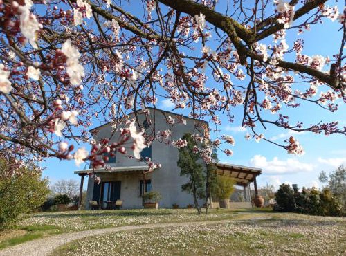 Ettaro Verde studio apartment for holidays