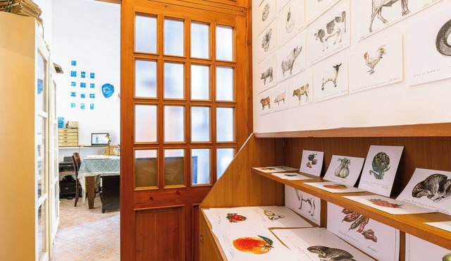 Explorer's room, cozy B&B Art Studio with watercolor lessos