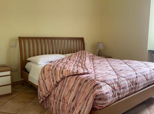 Fior Di Sambuco